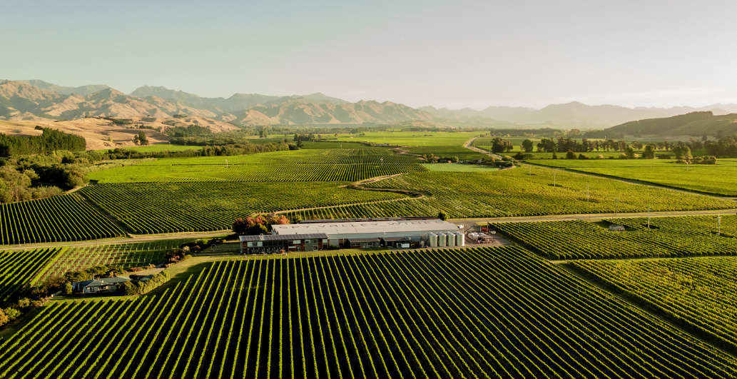 Spy Valley Wines by Richard Loader - Business South