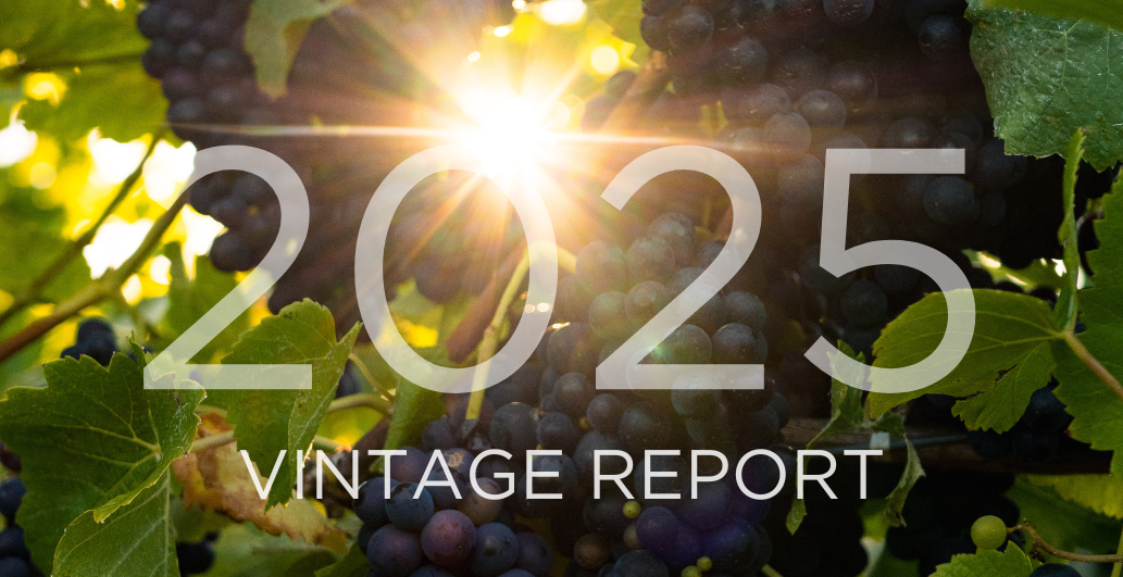Vintage Report 2025