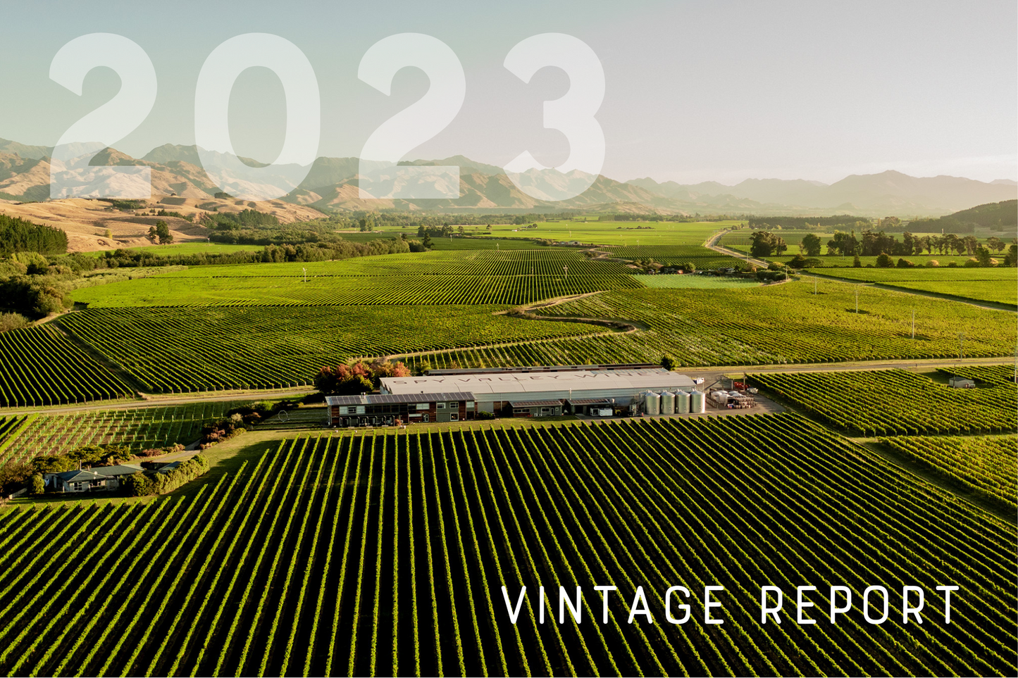 2023 Vintage Report