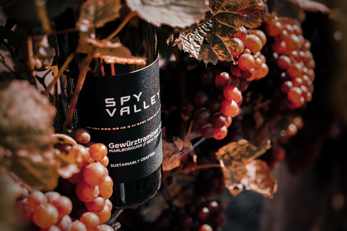 Spy Valley Wine