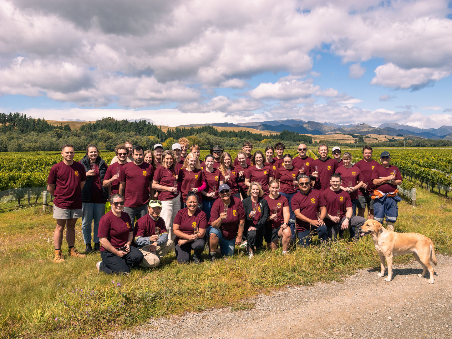Spy Valley Wine